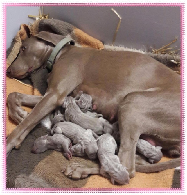 d'ou pais dei faventia loca - Carnet rose : Les bébés sont nés dans le Gard à Bellegarde !!!!