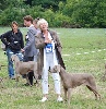  - Nationale d'élevage 2012